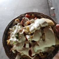 Halal Cart ico