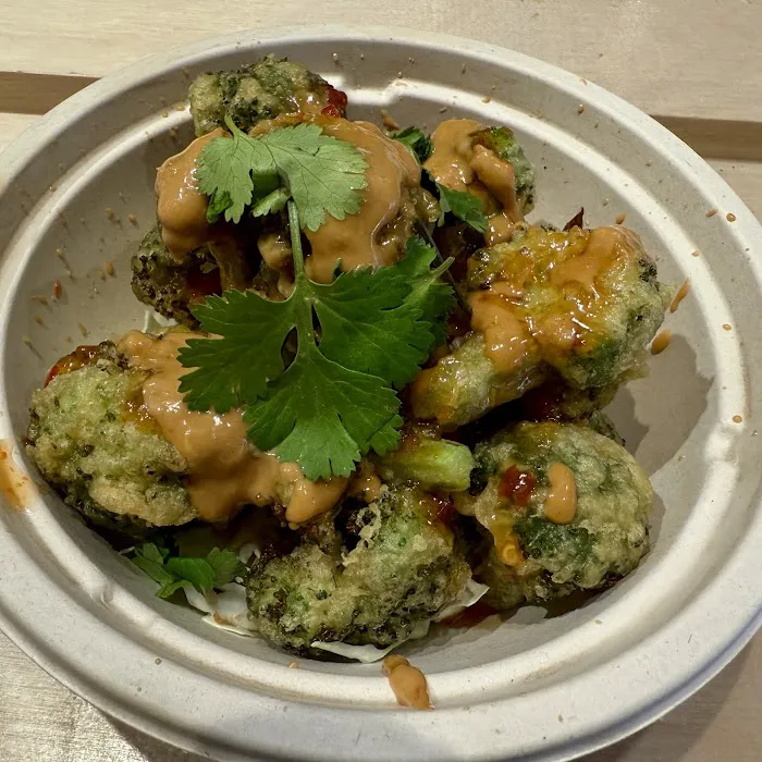 DAHON VEGAN Picture 6