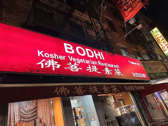 Bodhi Kosher Vegetarian Restaurant Picture 4