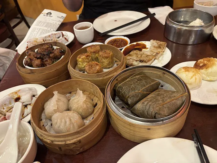Bodhi Kosher Vegetarian Restaurant Picture 7