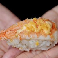pokesushiworks ico