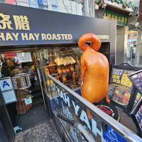 Hay Hay Roasted ico
