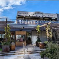City Vineyard ico