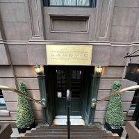 Harry's ico