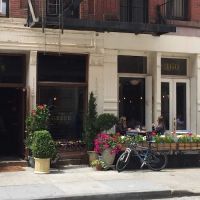 The Greek tribeca ico
