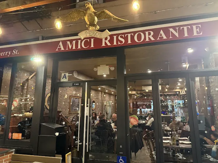 AMICI Picture 2