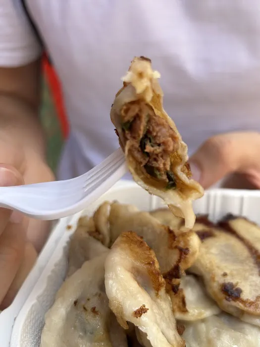 Fried Dumpling Picture 2