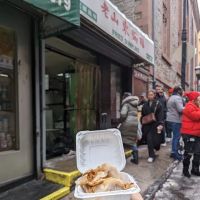 Fried Dumpling ico
