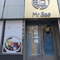 Mr. Bao ico