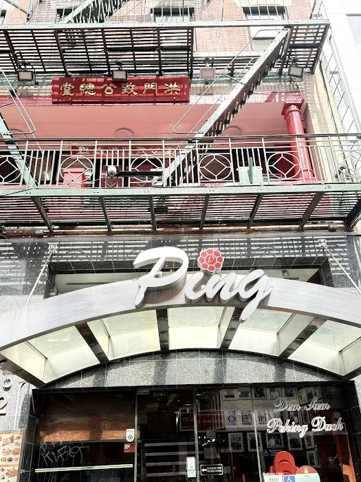 Ping’s Picture 1