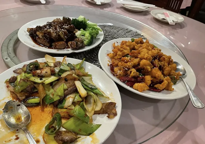 Famous Sichuan 川外川 Picture 2