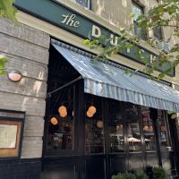 The Dutch ico