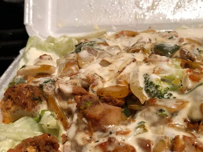 Soho Halal Guy (Food Cart) Picture 8