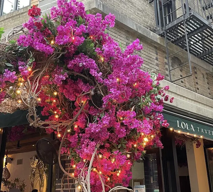 Lola Taverna Picture 4