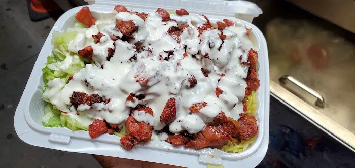 Halal Cart Picture 6