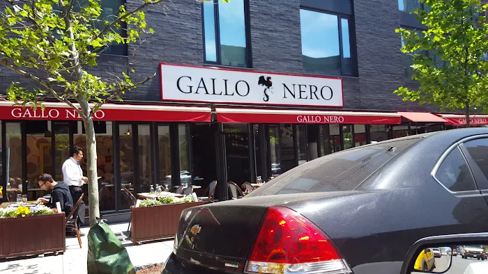 Gallo Nero Picture 3