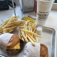 Hamburger America ico