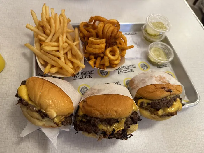 Hamburger America Picture 4