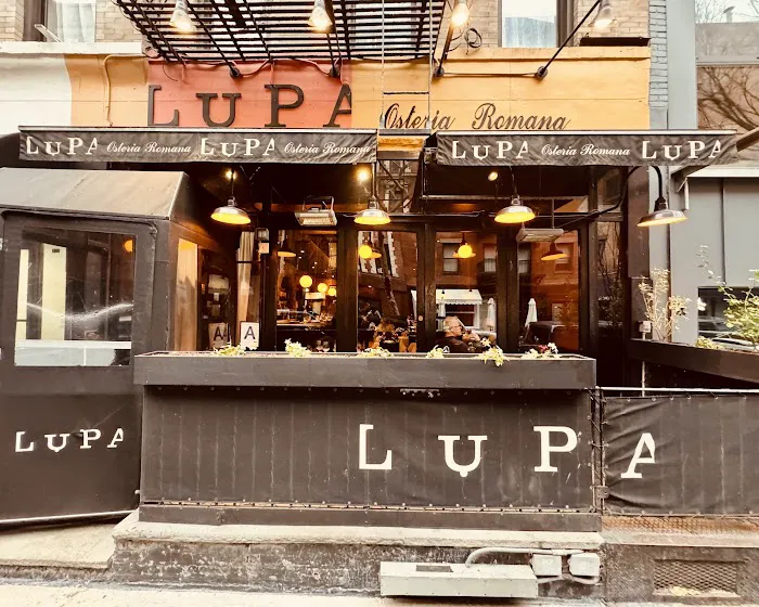 Lupa Picture 1