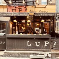 Lupa ico