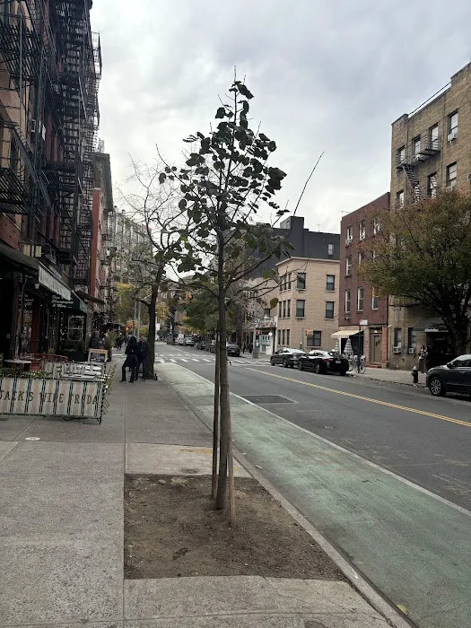 The Grey Dog - West Village Picture 8