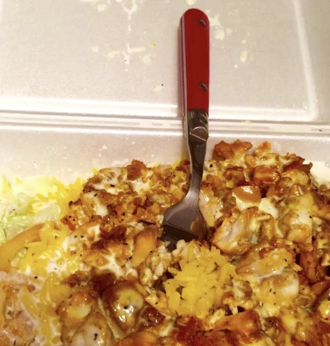 Halal Cart Picture 1