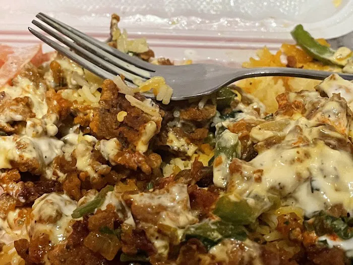 Halal Cart Picture 6