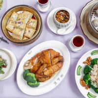 Congee Village ico