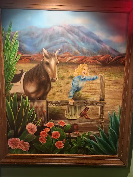 Cowgirl Picture 2