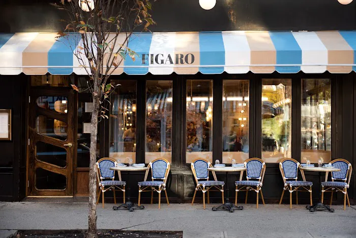 Figaro Picture 8