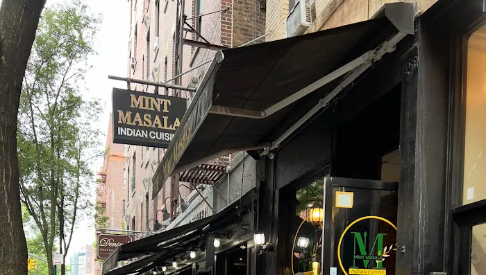 Mint Masala Picture 2