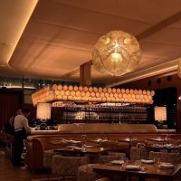 Flyfish Club ico