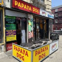 Papaya Dog ico