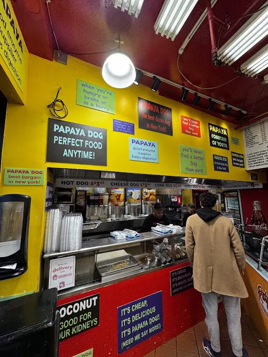 Papaya Dog Picture 6
