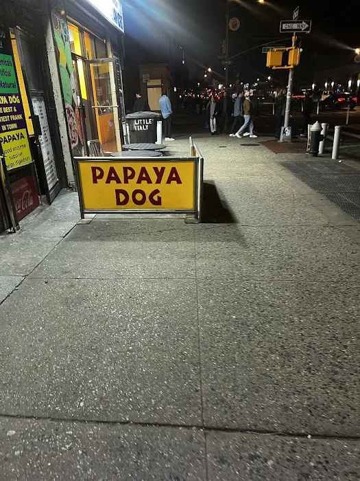 Papaya Dog Picture 8