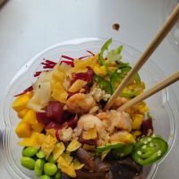 Poke Rice ico