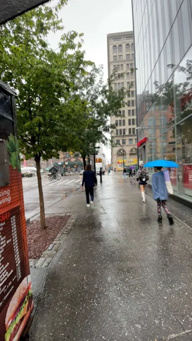 Soho Halal Cart Across CVS Picture 1