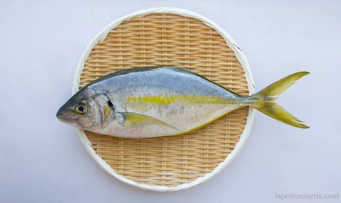 Shinzo Omakase Picture 8