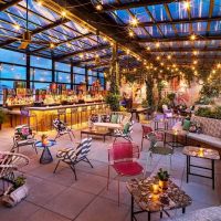 The Ready Cantina ico