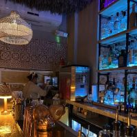 Vallarta Tropical NYC ico