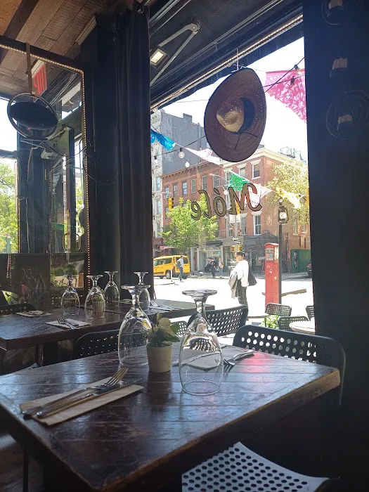 Móle Mexican Bar & Grill - West Village Picture 5
