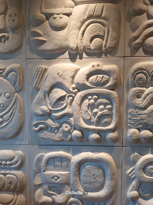Chipotle Mexican Grill Picture 7