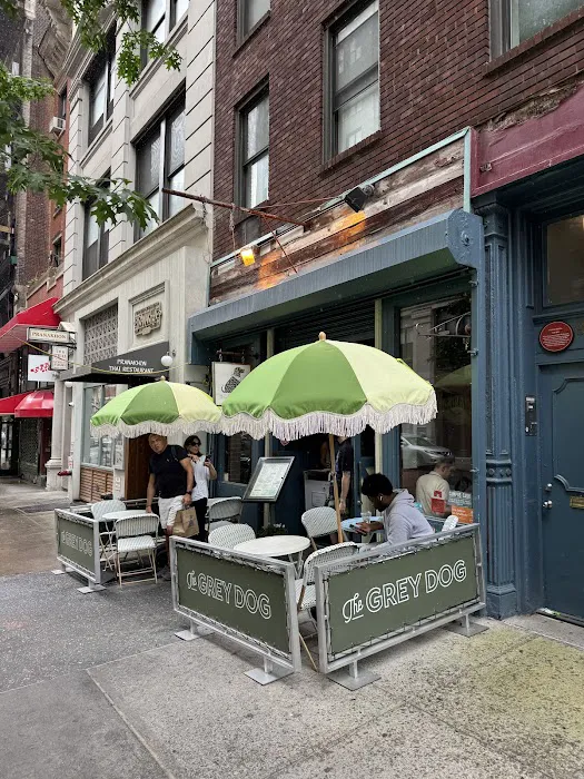 The Grey Dog - Union Square Picture 4