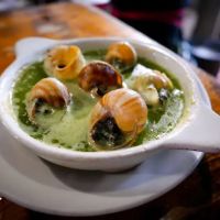 upstate craft beer & oyster bar ico