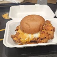 Fluffies Hot Chicken - LES ico