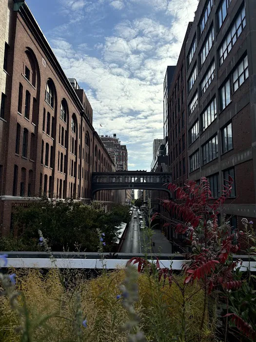 AS Food Yard Picture 8