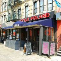 Little Poland ico