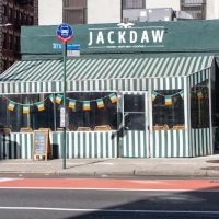 Jackdaw ico