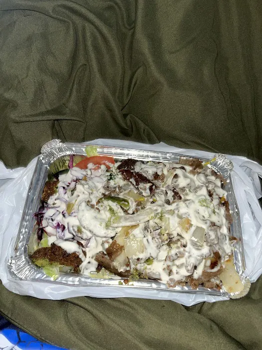 Halal cart Picture 4