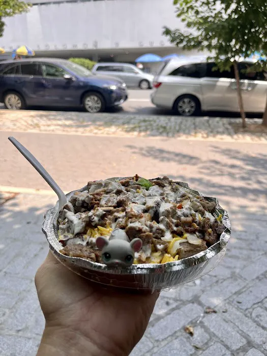 Tariq's #1 Halal Food Cart Picture 3